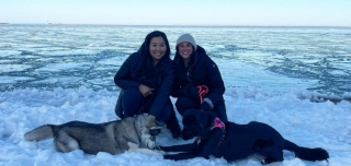 Illustration de l'article : Deux chiennes voisines de palier ont un rituel quotidien adorable (vidéo)