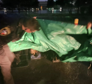 Illustration de l'article : La tristesse d’un groupe de bénévoles, après une découverte sur le parking devant leur refuge