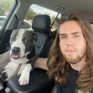 Illustration de l'article : Faites connaissance avec Greyson, le Pitbull sauvé des rues, devenu une vraie star lors de ses déplacements avec son maître (vidéo)