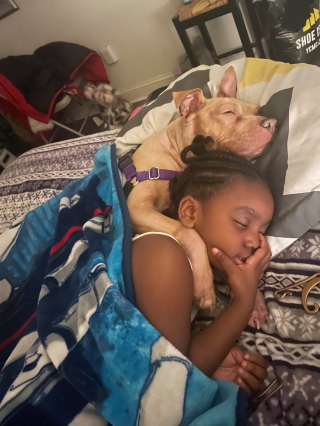 Illustration de l'article : Personne ne voulait adopter cet adorable chien malade jusqu’à une rencontre déterminante avec une petite fille