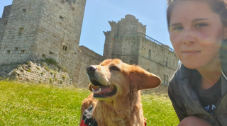 Illustration de l'article : Une chienne âgée, pétrifiée après le décès de son propriétaire, retrouve le bonheur grâce une employée dévouée de son refuge