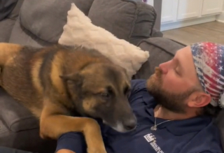 Illustration de l'article : La démonstration d’affection de cet ancien chien militaire envers son maître émeut Internet (vidéo)