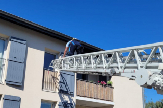 Illustration de l'article : Suite au signalement d’un voisin, des sauveteurs ont découvert 2 boules de poils, laissées pour compte dans un appartement pendant plusieurs jours