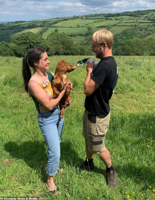 Illustration de l'article : Découvrez la belle histoire entre Fern, une petite chienne, et son meilleur ami Dennis