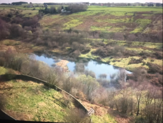 Illustration de l'article : Une association de sauvetage transforme un immense site en un sanctuaire pour des chiens dont « personne ne veut »