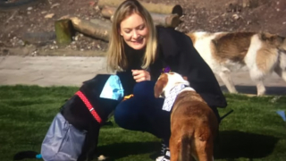 Illustration de l'article : Une association de sauvetage transforme un immense site en un sanctuaire pour des chiens dont « personne ne veut »