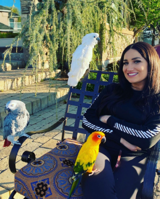 Illustration de l'article : Ce perroquet accueille son nouveau frère chien en lui disant « Je t’aime » (vidéo)