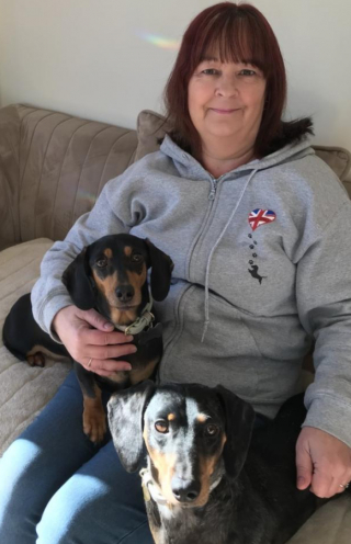 Illustration de l'article : Une chienne Teckel tente de se reconstruire après avoir été sauvée d’un élevage de masse qui souhaitait se débarrasser d’elle dans un abattoir