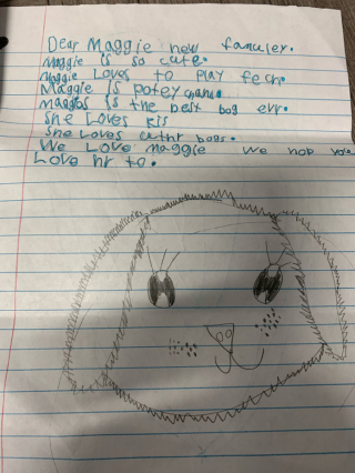 Illustration de l'article : Ce garçon de 6 ans a écrit des lettres à l’attention des futurs maîtres du chien pour lequel ses parents étaient famille d’accueil