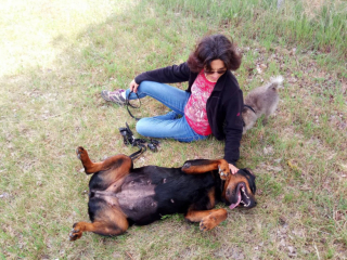 Illustration de l'article : Deux ans de bonheur pour cette chienne séniore qui n’avait pas encore connue la vie de famille