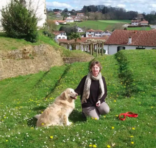 Illustration de l'article : Un chauffeur de taxi gâte une chienne malade en la conduisant à la plage chaque semaine