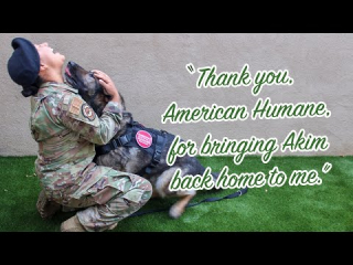 Illustration de l'article : Après un an d’attente, une militaire adopte le chien qui l’a accompagné lors de sa mission en Corée du Sud