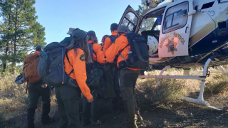 Illustration de l'article : La perspicacité de ce Border Collie a permis le sauvetage de son maître, immobilisé après une chute de 21 mètres en forêt