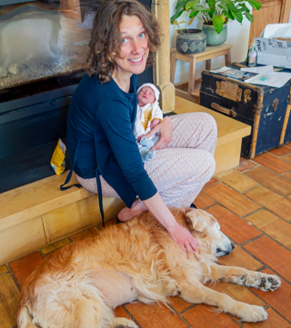 Illustration de l'article : L’histoire de Jules, le Golden Retriever, doyen de l’opération organisée par une association militant pour les chiens séniors