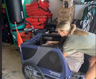 Illustration de l'article : Une solution astucieuse pour les chiens vieillissants : le « DoggyHut » aide à promener les chiens souffrant d’arthrite