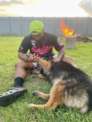 Illustration de l'article : 6 mois après sa mission, un militaire retrouve le chien avec lequel il a travaillé en Asie