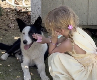 Illustration de l'article : Abandonnée, cette chienne a retrouvé confiance et amour auprès d’une petite fille (vidéo)