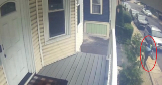 Illustration de l'article : Deux jours d’angoisse pour les maîtres de ce Yorkshire Terrier volé dans leur propre jardin 