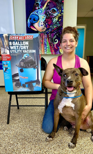 Illustration de l'article : Le chien le plus ancien du refuge trouve enfin un nouveau foyer après 566 jours d’attente 