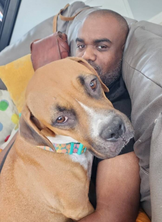 Illustration de l'article : L’histoire de Ginger, une chienne Boxer abandonnée alors qu’elle était sur le point de donner naissance à ses chiots