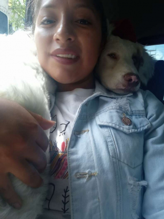 Illustration de l'article : Lors d’un shooting photo de mariage, un chien décide de voler la vedette aux mariés 