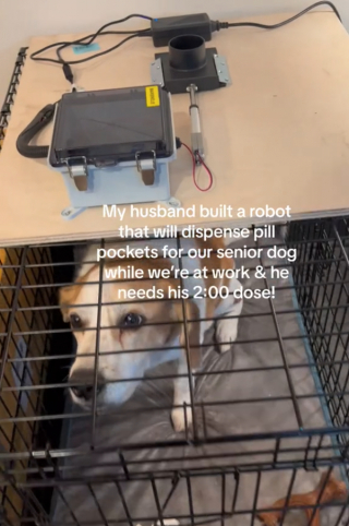 Illustration de l'article : Un propriétaire malin invente un distributeur de médicaments pour son chien âgé
