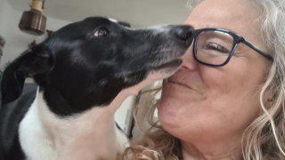 Illustration de l'article : Grâce à son 6ème sens, cette chienne parvient à détecter la maladie de sa maîtresse et lui sauve la vie