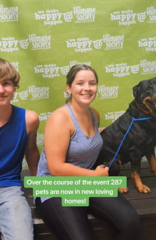 Illustration de l'article : Un refuge d’animaux tente un appel à l’adoption : les soignants ne s’attendaient pas à une telle mobilisation