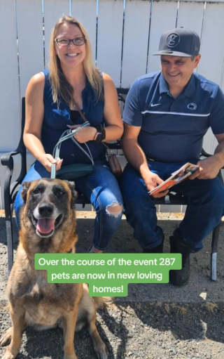 Illustration de l'article : Un refuge d’animaux tente un appel à l’adoption : les soignants ne s’attendaient pas à une telle mobilisation