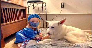 Illustration de l'article : Cette petite fille, amoureuse des animaux, a eu une idée originale pour remplacer les cadeaux de sa fête d’anniversaire 