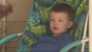 Illustration de l'article : Tous les moyens ont été mis en œuvre afin de retrouver un petit garçon de 5 ans, disparu avec son Berger Australien