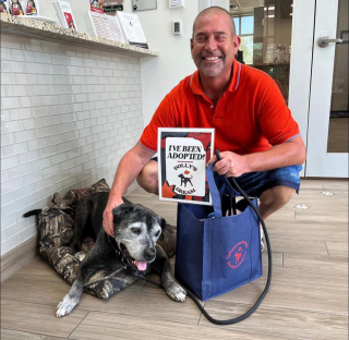 Illustration de l'article : Sous le regard ému de ses sauveteurs, ce chien de 15 ans quitte son refuge pour une belle vie (vidéo) 