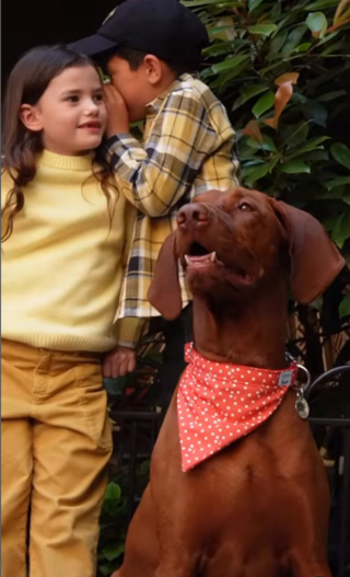 Illustration de l'article : "Jeux d'enfants" par French Bandit et Bonpoint : une collaboration chic pour des accessoires canins haut de gamme