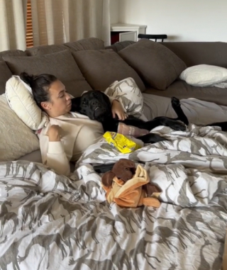 Illustration de l'article : Une femme organise une journée mémorable pour son Labrador malade (vidéo)