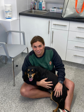 Illustration de l'article : Le combat acharné d’une jeune femme pour retrouver sa chienne Cocker Anglais, volée à son domicile il y a 2 ans et demi