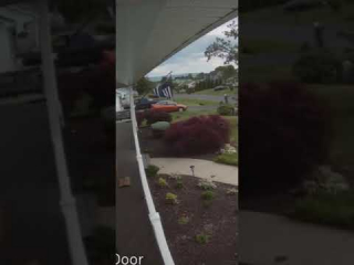 Illustration de l'article : Des vents violents font décoller un Labrador de 30 kilos devant les yeux ébahis de ses maîtres