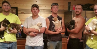 Illustration de l'article : Un enterrement de vie de garçon s’est transformé en une émouvante mission de sauvetage pour une famille de chiens