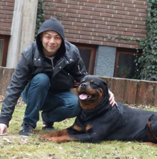 Illustration de l'article : En promenade, un Rottweiler s'est dirigé instinctivement vers un homme, qui avait vraisemblablement besoin d’être consolé