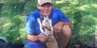 Illustration de l'article : Le périple d'un SDF et ses fidèles compagnons à quatre pattes vers une nouvelle vie