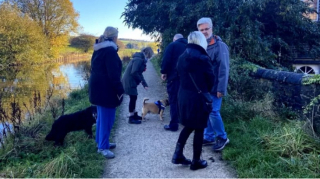 Illustration de l'article : Les adieux émouvants d’une trentaine de chiens pour une octogénaire, affectueusement surnommée la « dame aux friandises »