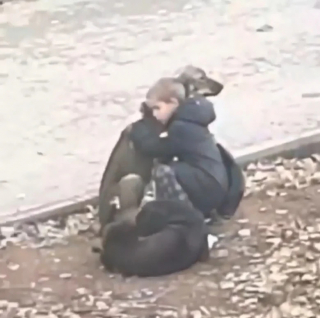 Illustration de l'article : L’incroyable gentillesse d’un petit garçon qui prend le temps de câliner 2 chiens errants sur le chemin de l'école (vidéo)