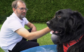 Illustration de l'article : Ce chien a voulu s’échapper d’une maison insalubre pour trouver un nouveau foyer