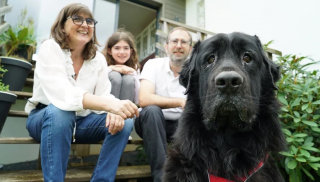Illustration de l'article : Ce chien a voulu s’échapper d’une maison insalubre pour trouver un nouveau foyer