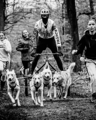 Illustration de l'article : Jean Combazard, le musher champion du monde et son combat pour l'inclusion des personnes en situation de handicap dans le mushing