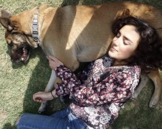 Illustration de l'article : Cette jeune femme organise une magnifique surprise pour son chien, lors de son retour après une absence de 6 mois