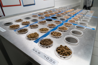 Illustration de l'article : Entretien avec Cécile Coutens, PDG de Royal Canin : « Choisir le bon aliment pour son animal est un défi pour de nombreux propriétaires »