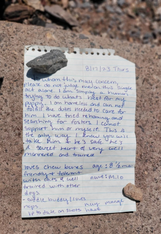 Illustration de l'article : Un propriétaire en situation difficile laisse son chien à un refuge avec une lettre déchirante