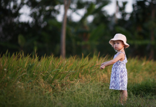 Illustration de l'article : Disparue dans les bois, une fillette âgée de 2 ans est protégée par ses 2 chiens, attendant qu’on les retrouve