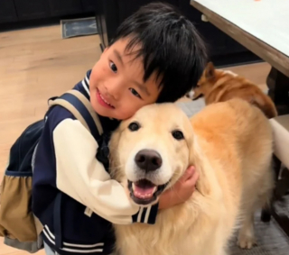 Illustration de l'article : Quand Maui, le Golden Retriever, attend que son petit maître rentre de l’école (vidéo)