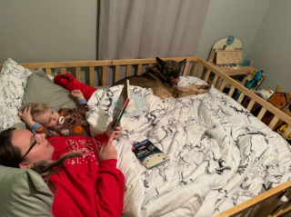 Illustration de l'article : Une ancienne maître-chien et son Berger Allemand sont réunis pour une retraite bien méritée